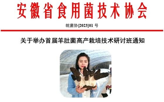 ļ202301P(gun)ek׌Ǿ߮a(chn)༼g(sh)ӑ֪ͨ